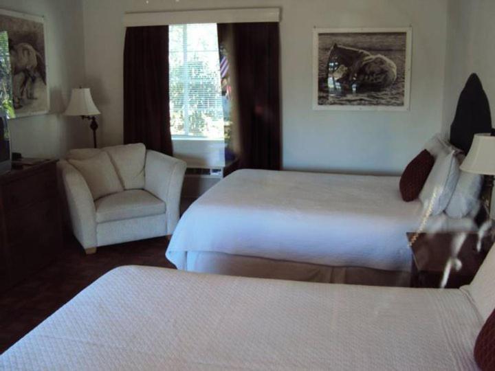 La Siesta Motel Тусон Номер фото